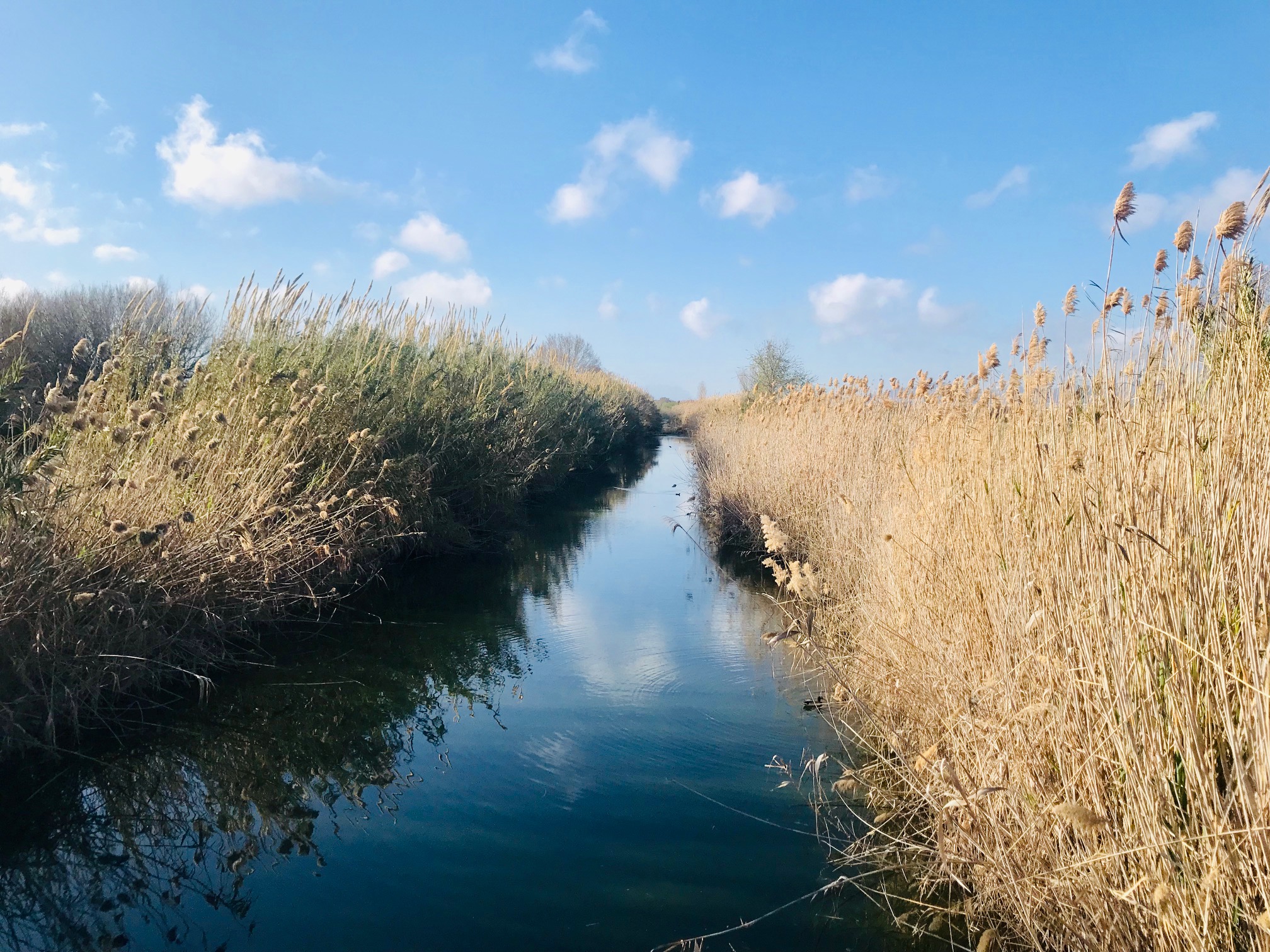 El Delta del Llobregat